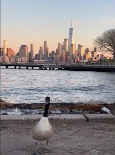 hoboken-parks